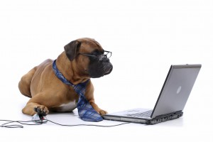 Dog-at-Computer